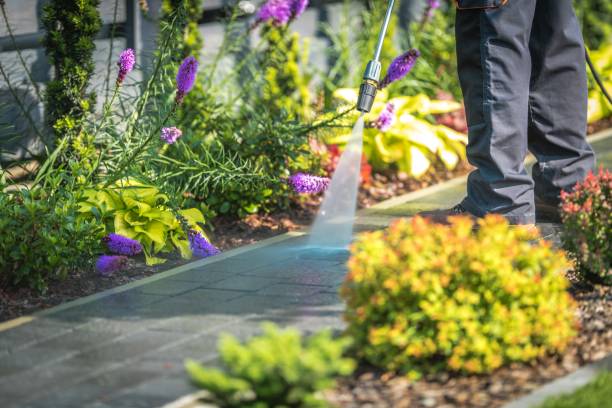 Best Winterizing Services  in Bells, TX