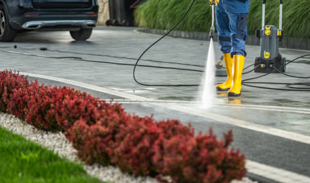 Best Roof Washing  in Bells, TX